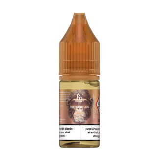 RandM Nikotinsalz - Watermelon Ice - 10ml Liquid 10mg/20mg